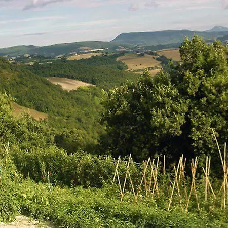 Agriturismo Pozzuolo Hotel