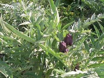 Agriturismo Pozzuolo